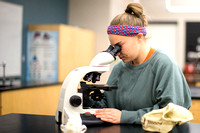 Mount Ida Veterinary Technology